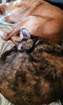 Bild von Dorothy
