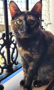 Bild von Dorothy