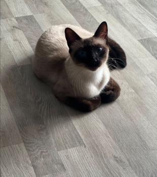 Hansel Bild von Hansel
