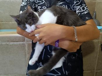 Bild von Oliver
