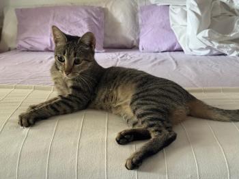 Bild von Flora