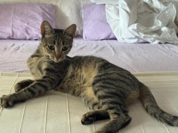Bild von Flora