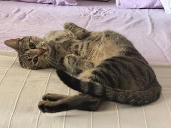 Bild von Flora