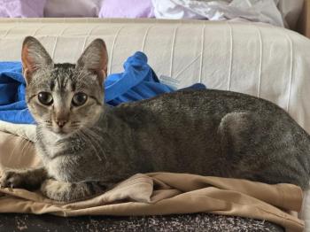Bild von Flora