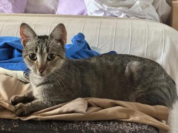 Bild von Flora