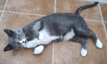 Bild von Ilda
