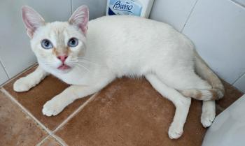 Casper Bild von Casper