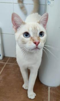 Casper Bild von Casper