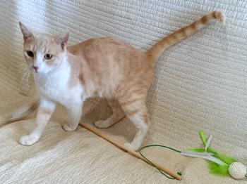 Cletus Bild von Cletus