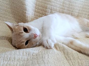 Cletus Bild von Cletus