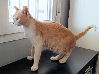 Cletus Bild von Cletus