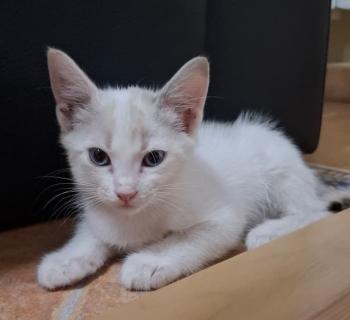 Bild von Noa