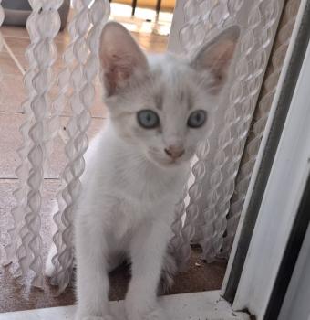 Bild von Noa