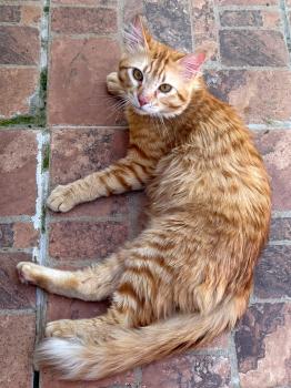 George Bild von George
