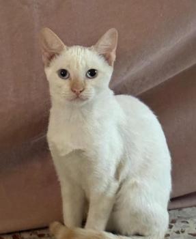 Herminia Bild von Herminia