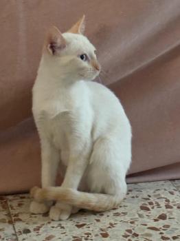 Herminia Bild von Herminia