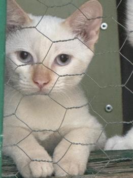 Herminia Bild von Herminia