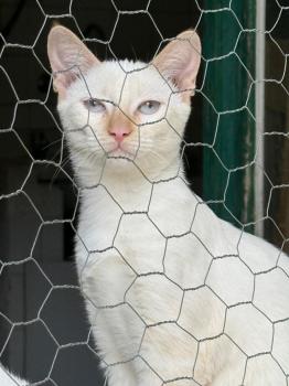 Herminia Bild von Herminia