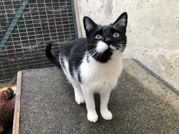 Pepito Bild von Pepito