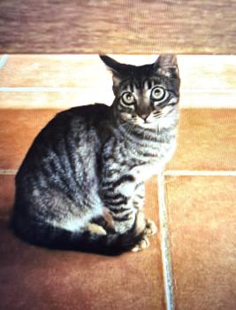 Minka Bild von Minka