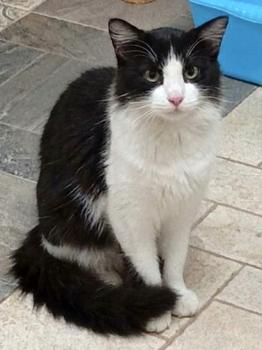 Loki Bild von Loki