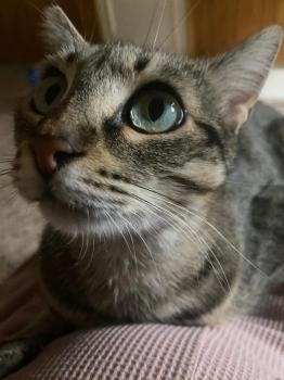 Lucinda Bild von Lucinda