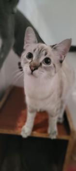 Carla Bild von Carla