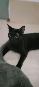 Coco Bild von Coco