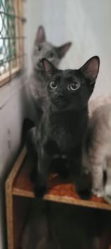 Coco Bild von Coco