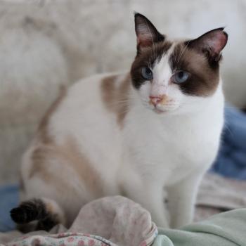 Betty Bild von Betty