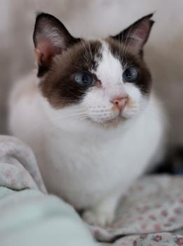 Betty Bild von Betty
