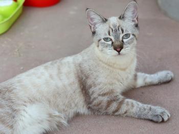 Carla Bild von Carla