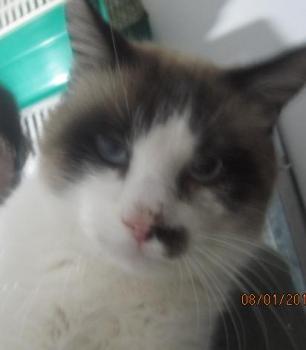 Pepon Bild von Pepon