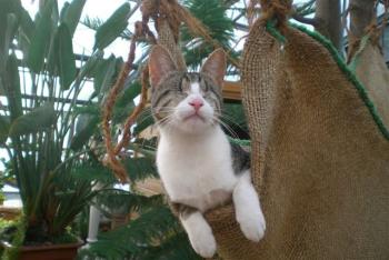Bild von Hope