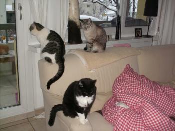 Pilla Bild von Pilla