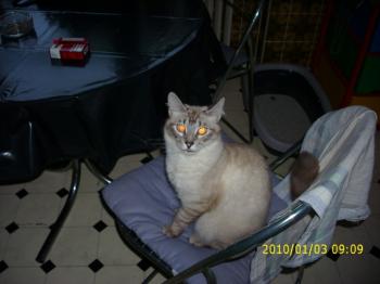 Sammy Bild von Sammy
