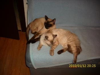 Sammy Bild von Sammy