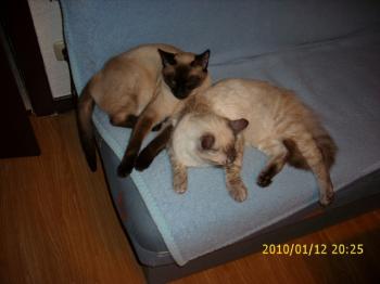 Biberoni Bild von Biberoni