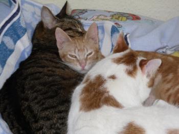 Lilly Bild von Tucker