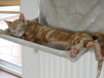 Lilly Bild von Tucker