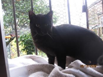 Bild von Frodo