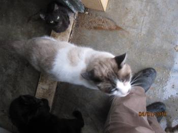 Pepon Bild von Pepon