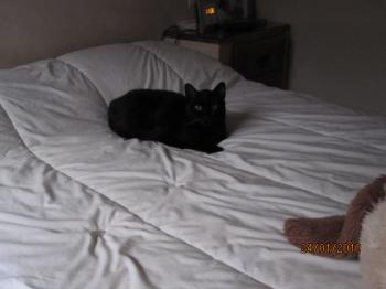 Bild von Frodo