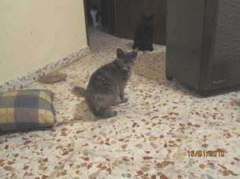 Ohne Bild von Lolita