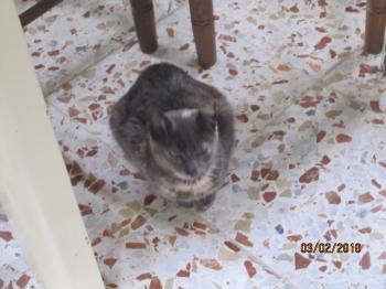 Ohne Bild von Lolita