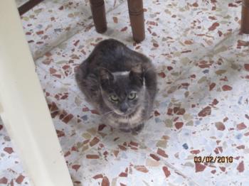 Ohne Bild von Lolita