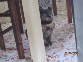 Ohne Bild von Lolita