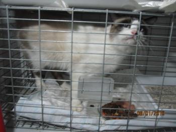 Pepon Bild von Pepon