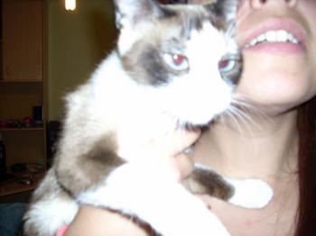 Nora Bild von Nora