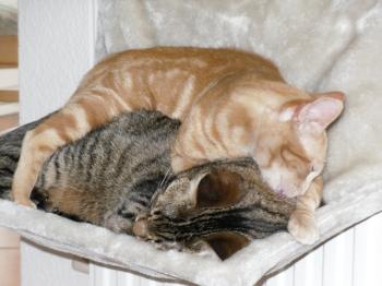 Lilly Bild von Tucker